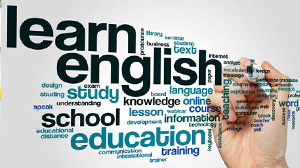 Language institutes must complete their courses in full